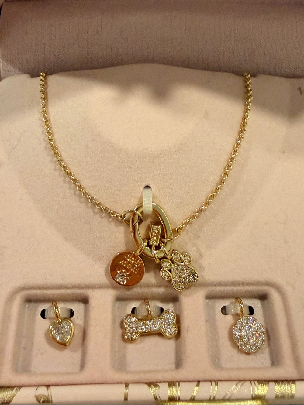 14K Gold Plated Customizable Dog Charm Necklace - Pink Box Set